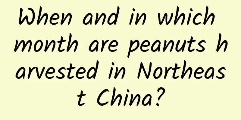 When and in which month are peanuts harvested in Northeast China?