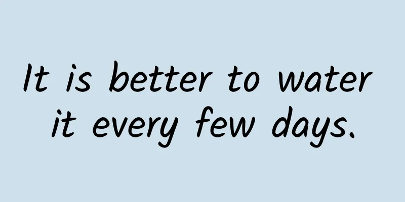 It is better to water it every few days.