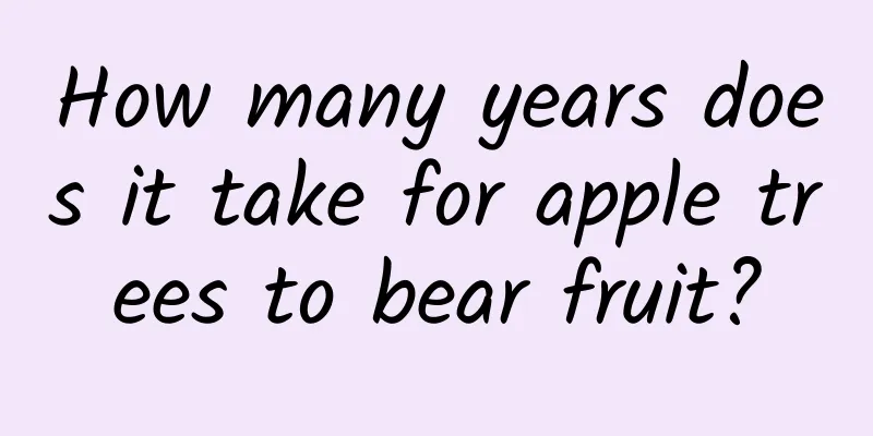 How many years does it take for apple trees to bear fruit?