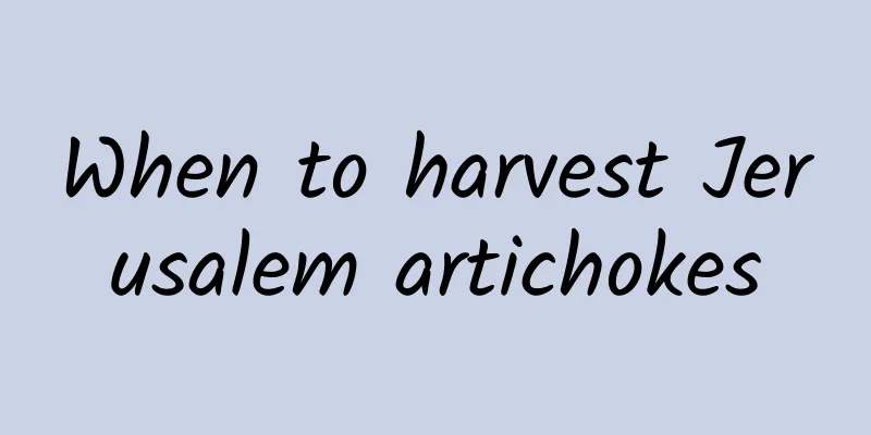 When to harvest Jerusalem artichokes