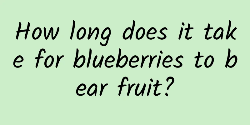 How long does it take for blueberries to bear fruit?