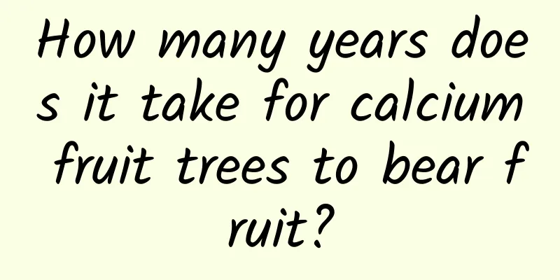 How many years does it take for calcium fruit trees to bear fruit?