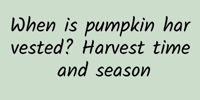 When is pumpkin harvested? Harvest time and season