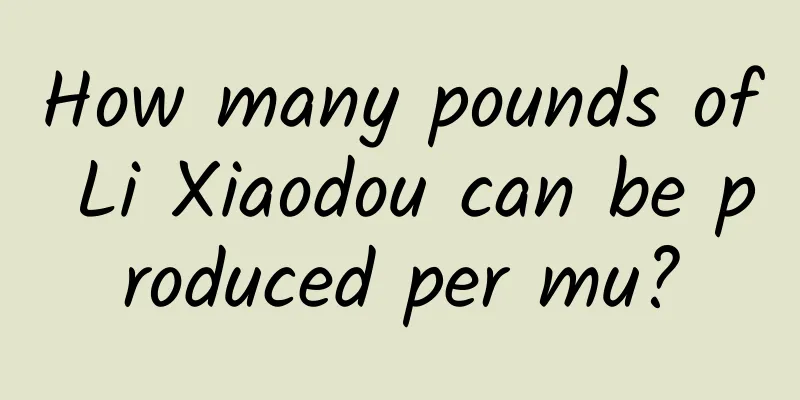How many pounds of Li Xiaodou can be produced per mu?