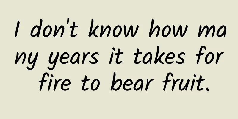I don't know how many years it takes for fire to bear fruit.