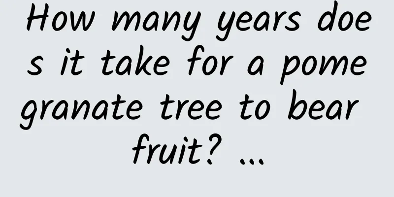 How many years does it take for a pomegranate tree to bear fruit? ...