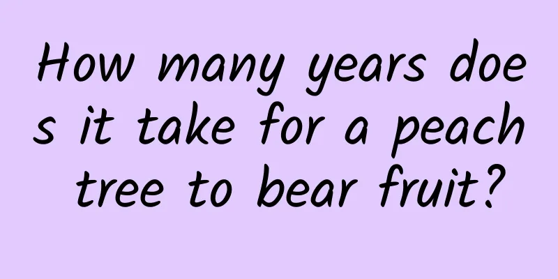 How many years does it take for a peach tree to bear fruit?