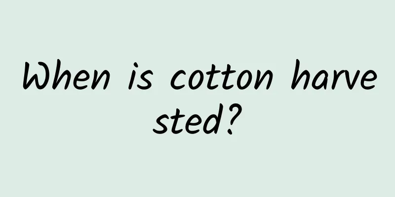 When is cotton harvested?