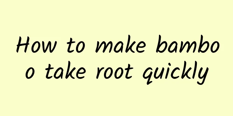 How to make bamboo take root quickly