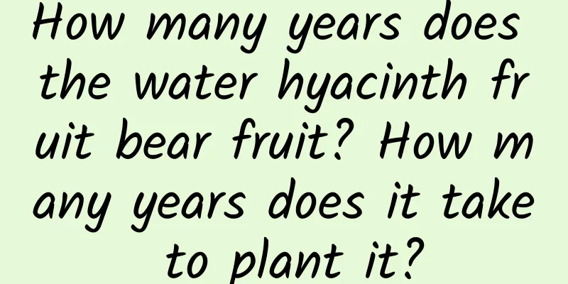 How many years does the water hyacinth fruit bear fruit? How many years does it take to plant it?