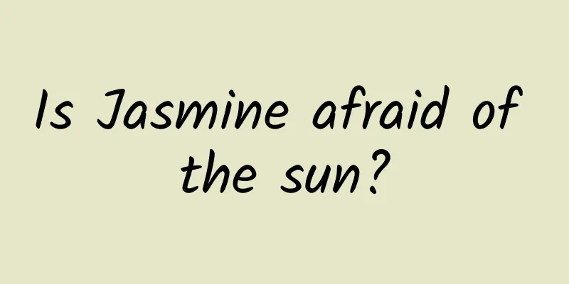 Is Jasmine afraid of the sun?