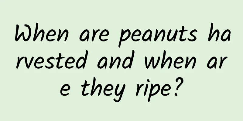 When are peanuts harvested and when are they ripe?