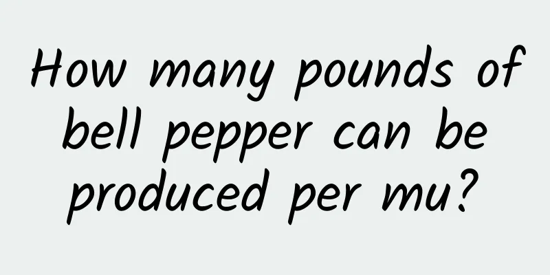 How many pounds of bell pepper can be produced per mu?