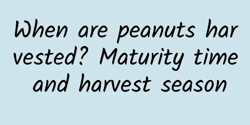 When are peanuts harvested? Maturity time and harvest season