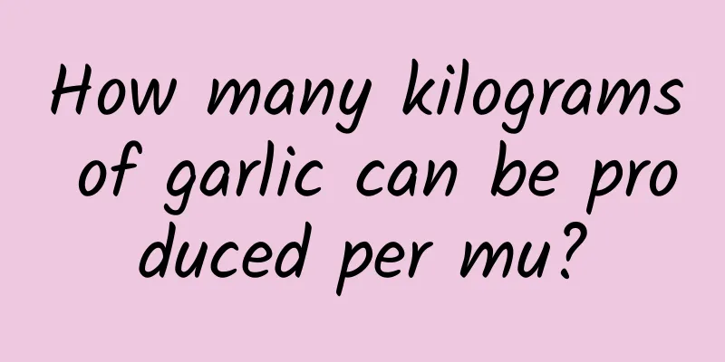 How many kilograms of garlic can be produced per mu?