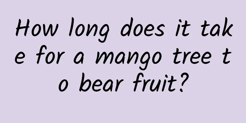 How long does it take for a mango tree to bear fruit?