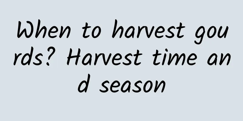 When to harvest gourds? Harvest time and season