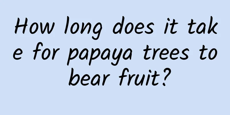 How long does it take for papaya trees to bear fruit?