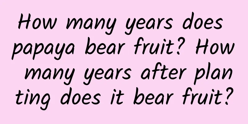How many years does papaya bear fruit? How many years after planting does it bear fruit?