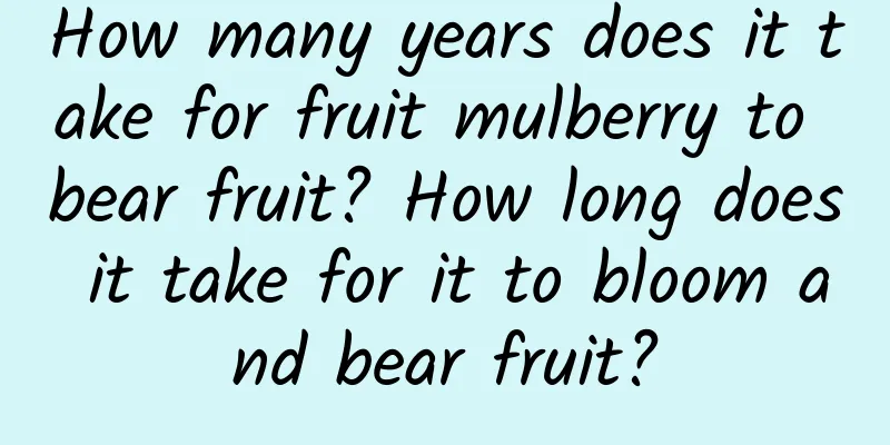 How many years does it take for fruit mulberry to bear fruit? How long does it take for it to bloom and bear fruit?