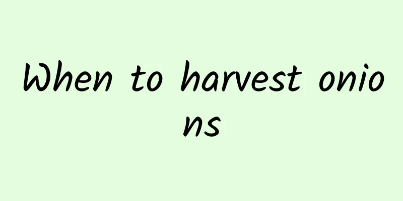 When to harvest onions