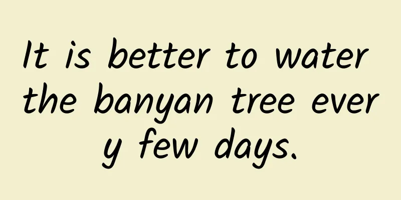 It is better to water the banyan tree every few days.