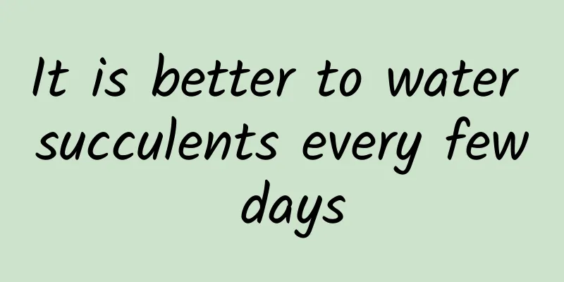 It is better to water succulents every few days