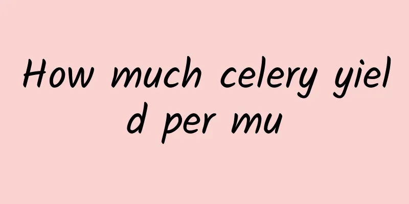 How much celery yield per mu