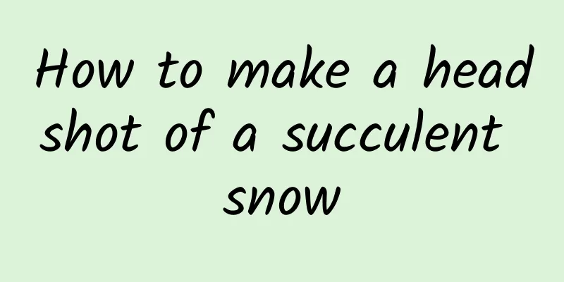 How to make a headshot of a succulent snow