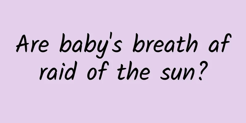Are baby's breath afraid of the sun?