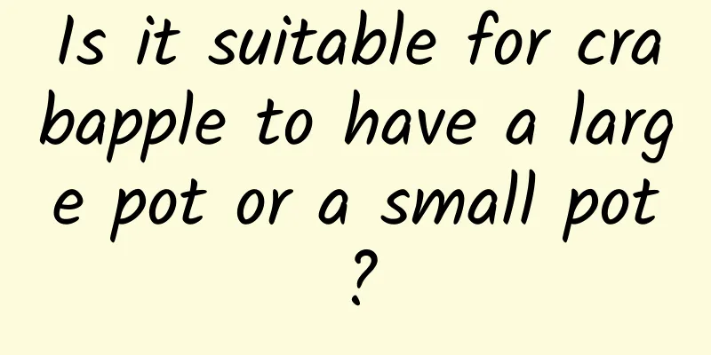 Is it suitable for crabapple to have a large pot or a small pot?