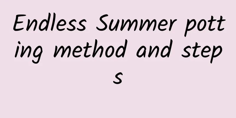 Endless Summer potting method and steps