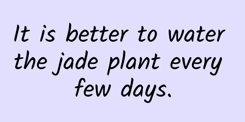 It is better to water the jade plant every few days.