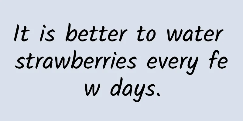 It is better to water strawberries every few days.