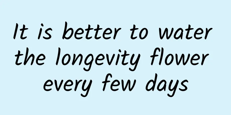 It is better to water the longevity flower every few days