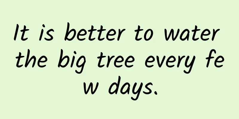 It is better to water the big tree every few days.
