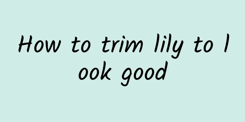 How to trim lily to look good