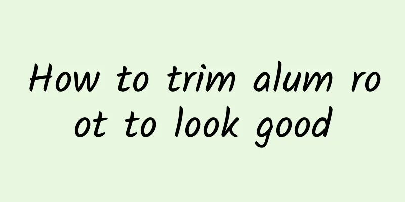 How to trim alum root to look good