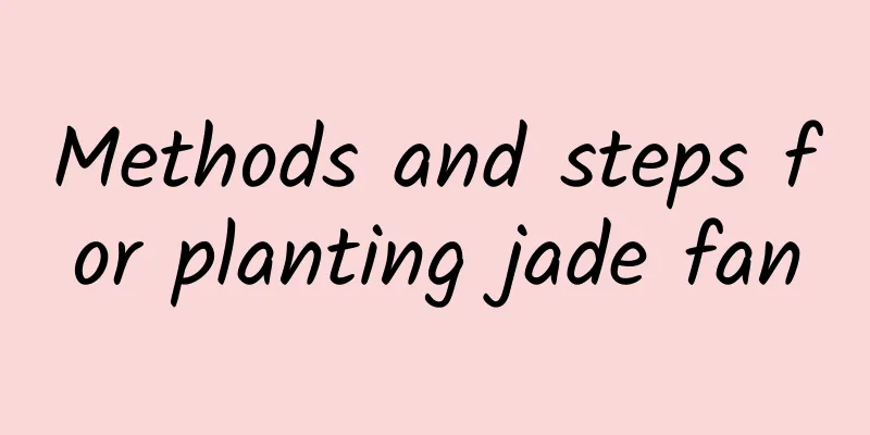 Methods and steps for planting jade fan