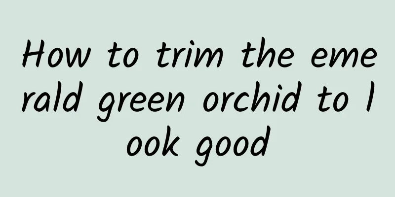 How to trim the emerald green orchid to look good