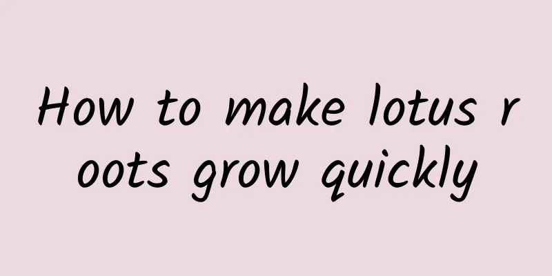 How to make lotus roots grow quickly