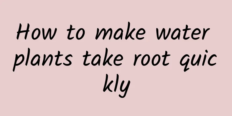 How to make water plants take root quickly