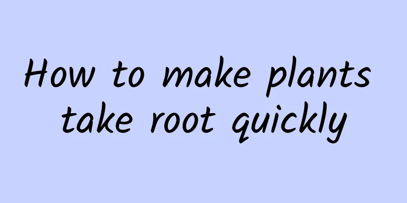 How to make plants take root quickly