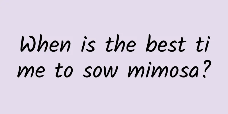 When is the best time to sow mimosa?