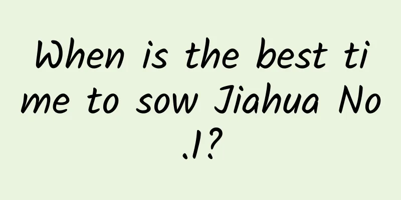 When is the best time to sow Jiahua No.1?