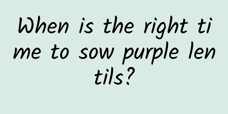 When is the right time to sow purple lentils?