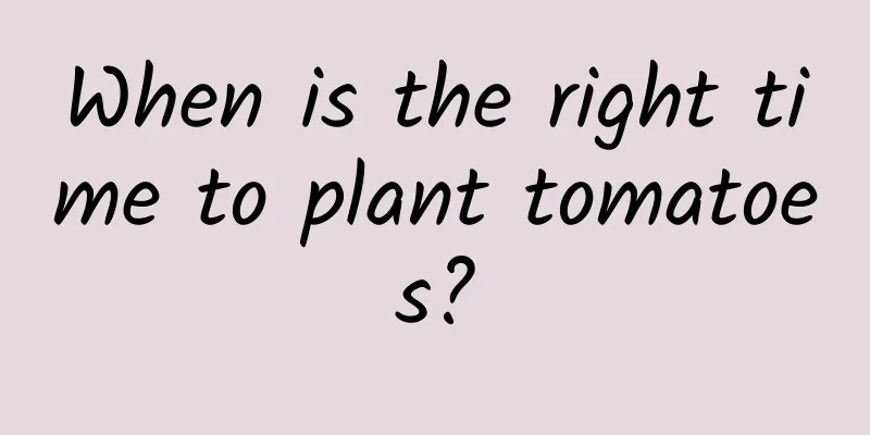 When is the right time to plant tomatoes?