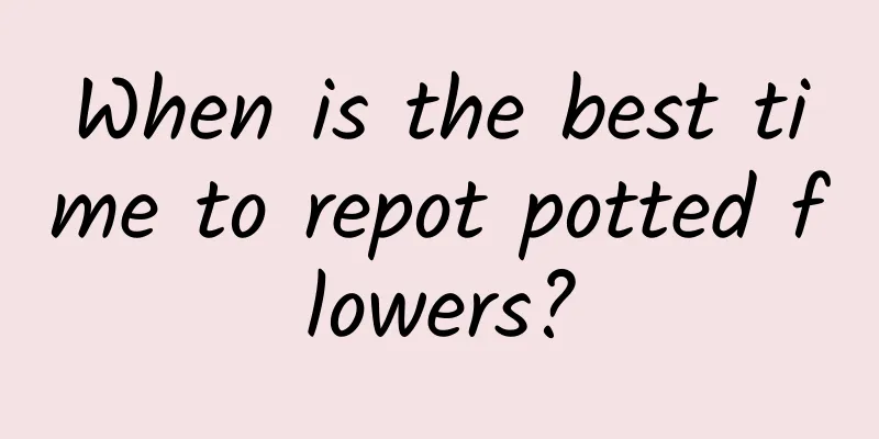 When is the best time to repot potted flowers?