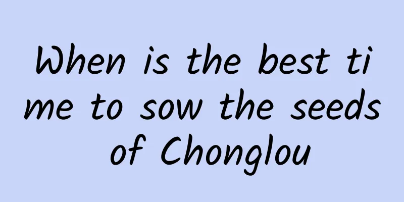 When is the best time to sow the seeds of Chonglou