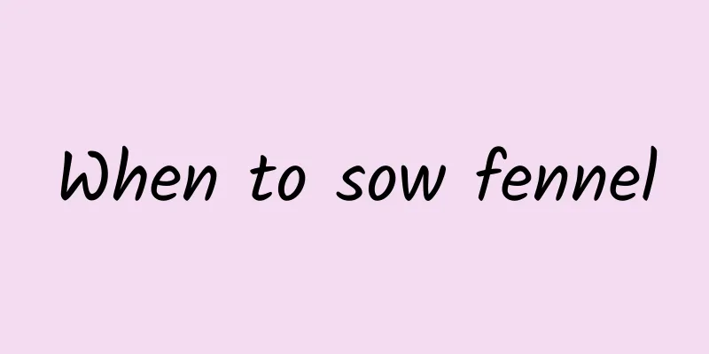 When to sow fennel